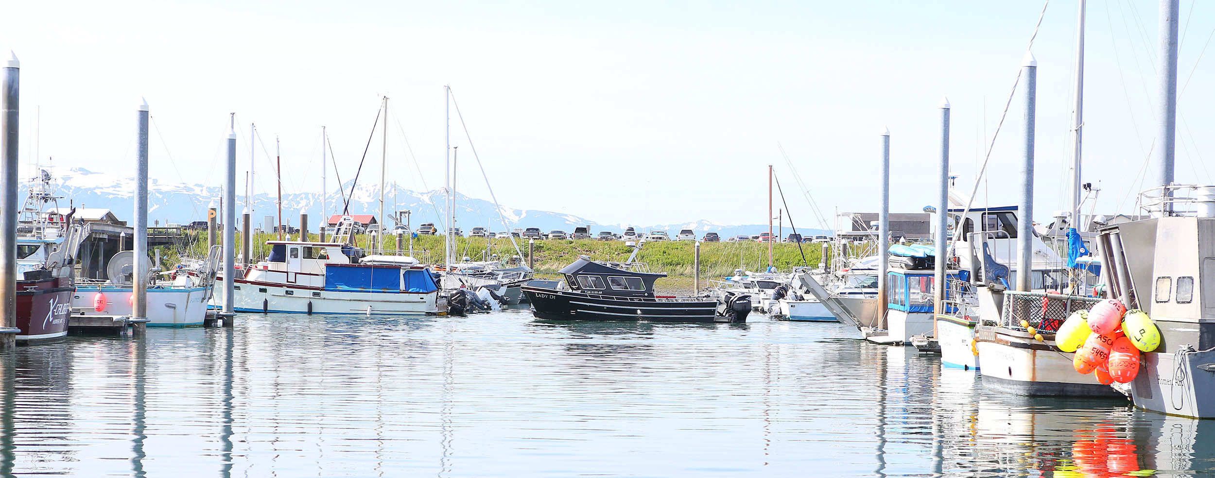 Fishing vessels in Homer