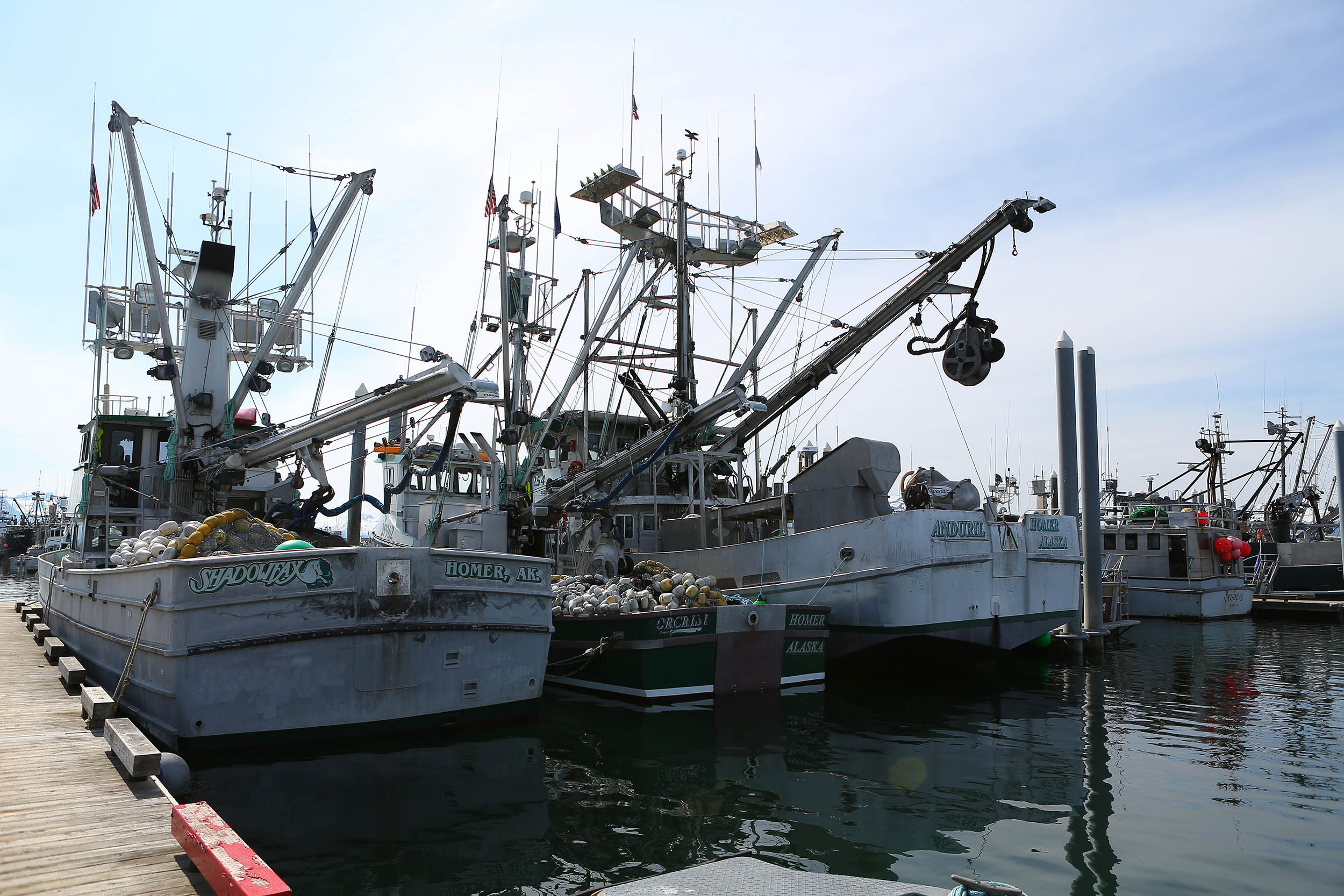 Kachemak Bay ships